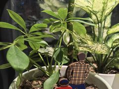 -懒人盐府人家(航天桥店)