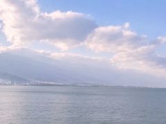 -野菌皇海景野生菌火锅(滨海大道店)