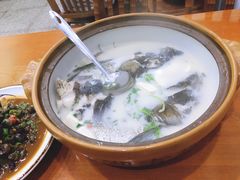 千岛湖有机鱼头-全乐鱼馆·淳牌有机鱼直营店