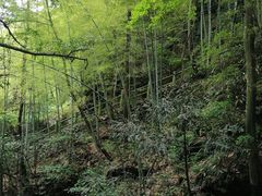 -藏龙百瀑风景区