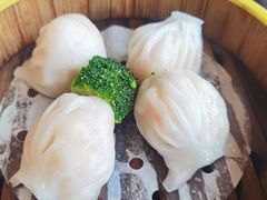 -湛江民大喜来登酒店-采悦轩中餐厅