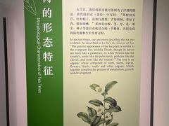 -中国茶叶博物馆(双峰馆区)