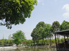 -洪湖家庭农场·团建·露营·会议