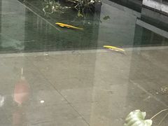 -咸亨酒店•非遗绍兴菜•中华老字号(堂吃餐厅)