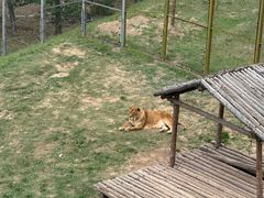 -青藏高原野生动物园