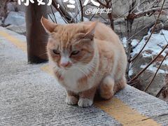 -崂山九水游览区