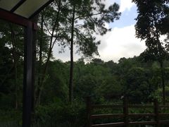 -金山植物公园