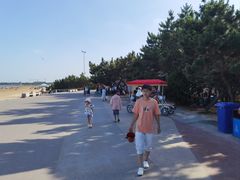 -日照海滨国家森林公园