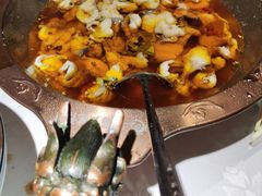 -雲蜀龙阁·金牌水煮鱼(方庄店)