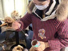 -萌喵宠狗爱心宠咖