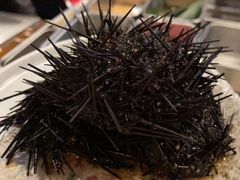 -松子日式料理(东朝阳路店)