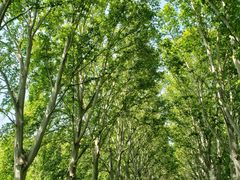 -河南省黄河迎宾馆