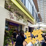 南门小豆海棠好吃不?排队的人真心好多啊😦