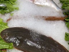 -宝燕壹号(徐汇店)