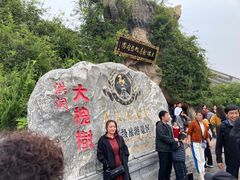 -大槐树寻根祭祖园