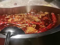 -辣伍鲜毛肚老火锅(元一店)