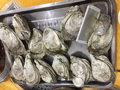 -蚝专家(北滘店)