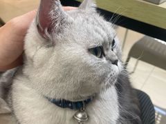 -Oasis绿洲银饰珍珠手作diy(壹方城店)