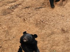 -昆明动物园