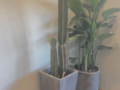 -迦南·甜品蛋糕(传媒店)