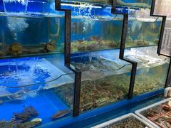 水产区-老东镇啤酒屋海鲜加工·蒸汽海鲜·海鲜烧烤(台东店)