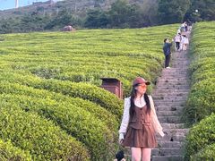 -东白山