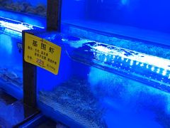 水产区-橄榄季酒店