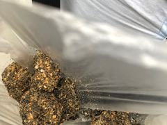 -叶氏麻糍(鼓浪屿店)