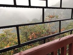 -沣峪口