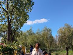 -前小桔亲子创意农场·草莓采摘·露营烧烤