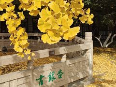 -常熟方塔园