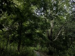 -长春市南湖公园