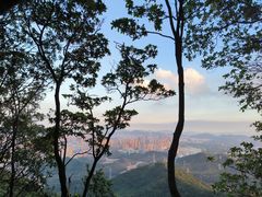 -阳台山森林公园