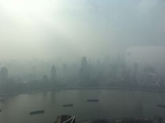-金轩中餐厅 Jin Xuan(浦东丽思卡尔顿酒店)
