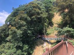 -龙岩森林水乡景区