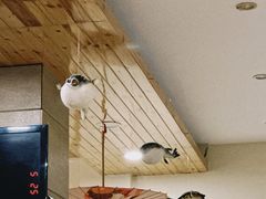 -天正河鲀·河豚亭(大连店)