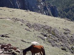 -芦芽山旅游度假区