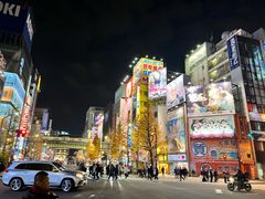 -秋叶原电器街