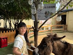 -HERRE·FARM 赫尔露营农场·团建聚会包场