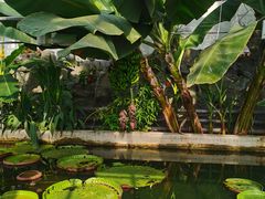 -国家植物园南园