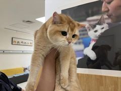 -美联众合动物医院·24h京西诊疗中心