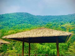 -海南热带雨林国家公园吊罗山景区