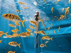 -三亚海昌梦幻海洋不夜城