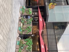-大茴香越法料理(SOHO复兴店)