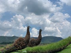 -光明小镇欢乐田园