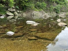 -东天目山风景区