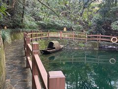 -十八棵（老龙井）御茶园(老龙井店)