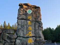 -汤旺河林海奇石景区