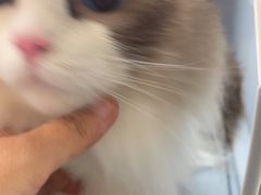 -美联众合24小时·皮肤科·外科·全科诊疗中心(华苑分院)