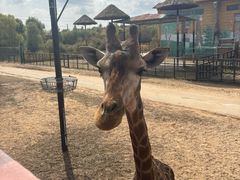 -鄂尔多斯野生动物园